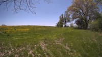 The field cam, May 14, 2024 at 10:40am