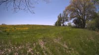 The field cam, May 14, 2024 at 10:41am