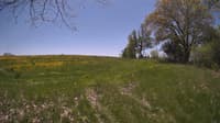 The field cam, May 14, 2024 at 10:44am