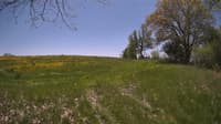 The field cam, May 14, 2024 at 10:47am