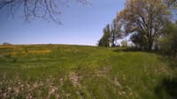 The field cam, May 14, 2024 at 11:54am