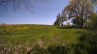 The field cam, May 14, 2024 at 12:43pm