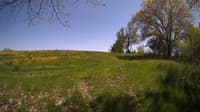 The field cam, May 14, 2024 at 12:44pm