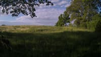 The field cam, May 23, 2024 at 5:16am