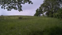 The field cam, May 27, 2024 at 7:42am