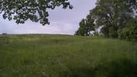 The field cam, May 27, 2024 at 7:45am
