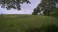 The field cam, May 27, 2024 at 7:46am