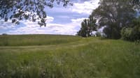 The field cam, May 30, 2024 at 10:30am