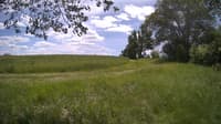 The field cam, May 30, 2024 at 10:57am