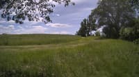 The field cam, May 30, 2024 at 11:05am