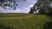 The field cam, May 30, 2024 at 11:53am