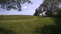 The field cam, May 30, 2024 at 12:19pm