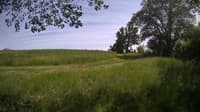 The field cam, May 30, 2024 at 12:44pm