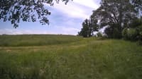 The field cam, Jun 4, 2024 at 11:18am