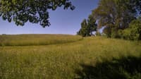 The field cam, Jun 7, 2024 at 7:07am