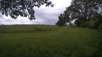 The field cam, Jun 11, 2024 at 9:08am