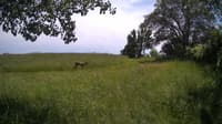 The field cam, Jun 12, 2024 at 11:59am