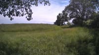 The field cam, Jun 12, 2024 at 12:09pm