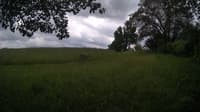 The field cam, Jun 16, 2024 at 1:02pm