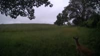 The field cam, Jun 22, 2024 at 3:30pm