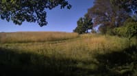 The field cam, Jun 30, 2024 at 6:19am