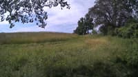 The field cam, Jul 1, 2024 at 8:00am