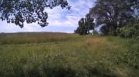The field cam, Jul 1, 2024 at 9:22am