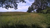 The field cam, Jul 1, 2024 at 9:25am
