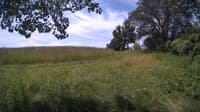 The field cam, Jul 1, 2024 at 9:34am