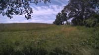 The field cam, Jul 1, 2024 at 9:37am