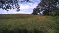The field cam, Jul 1, 2024 at 9:38am
