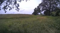 The field cam, Jul 1, 2024 at 10:22am