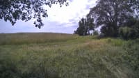 The field cam, Jul 1, 2024 at 11:15am