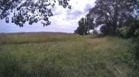 The field cam, Jul 1, 2024 at 11:30am