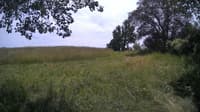 The field cam, Jul 1, 2024 at 11:49am