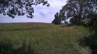 The field cam, Jul 1, 2024 at 11:54am