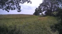 The field cam, Jul 1, 2024 at 11:58am