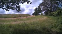 The field cam, Jul 7, 2024 at 8:51am