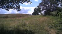 The field cam, Jul 16, 2024 at 10:36am
