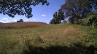 The field cam, Jul 18, 2024 at 8:32am