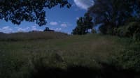 The field cam, Jul 18, 2024 at 8:41am