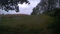 The field cam, Jul 22, 2024 at 3:29pm
