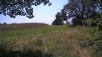 The field cam, Jul 25, 2024 at 10:52am