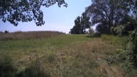The field cam, Jul 25, 2024 at 11:36am