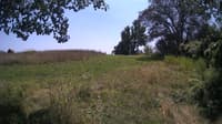 The field cam, Jul 25, 2024 at 11:50am