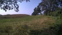 The field cam, Jul 26, 2024 at 7:32am