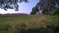 The field cam, Jul 26, 2024 at 8:06am