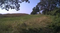 The field cam, Jul 26, 2024 at 8:08am