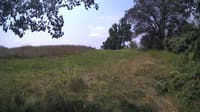 The field cam, Jul 26, 2024 at 9:36am