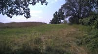 The field cam, Jul 26, 2024 at 9:56am